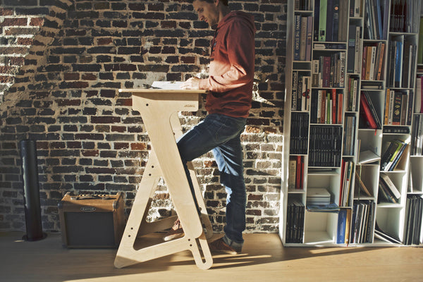 Large StandUp (Overstock Sale)